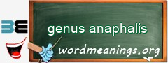 WordMeaning blackboard for genus anaphalis